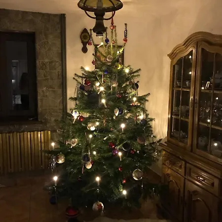 Chalet Dom Ochotnica