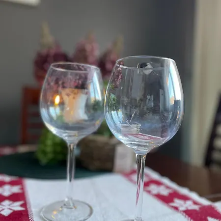 Chalet Dom Ochotnica