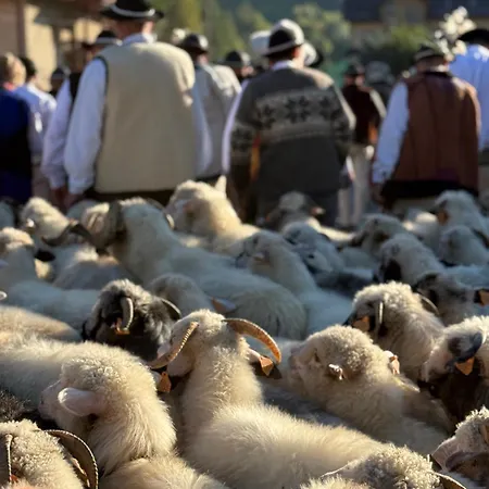 Chalet Dom Ochotnica *